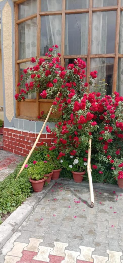 Hotel Lonchay Residency Leh Kültér fotó